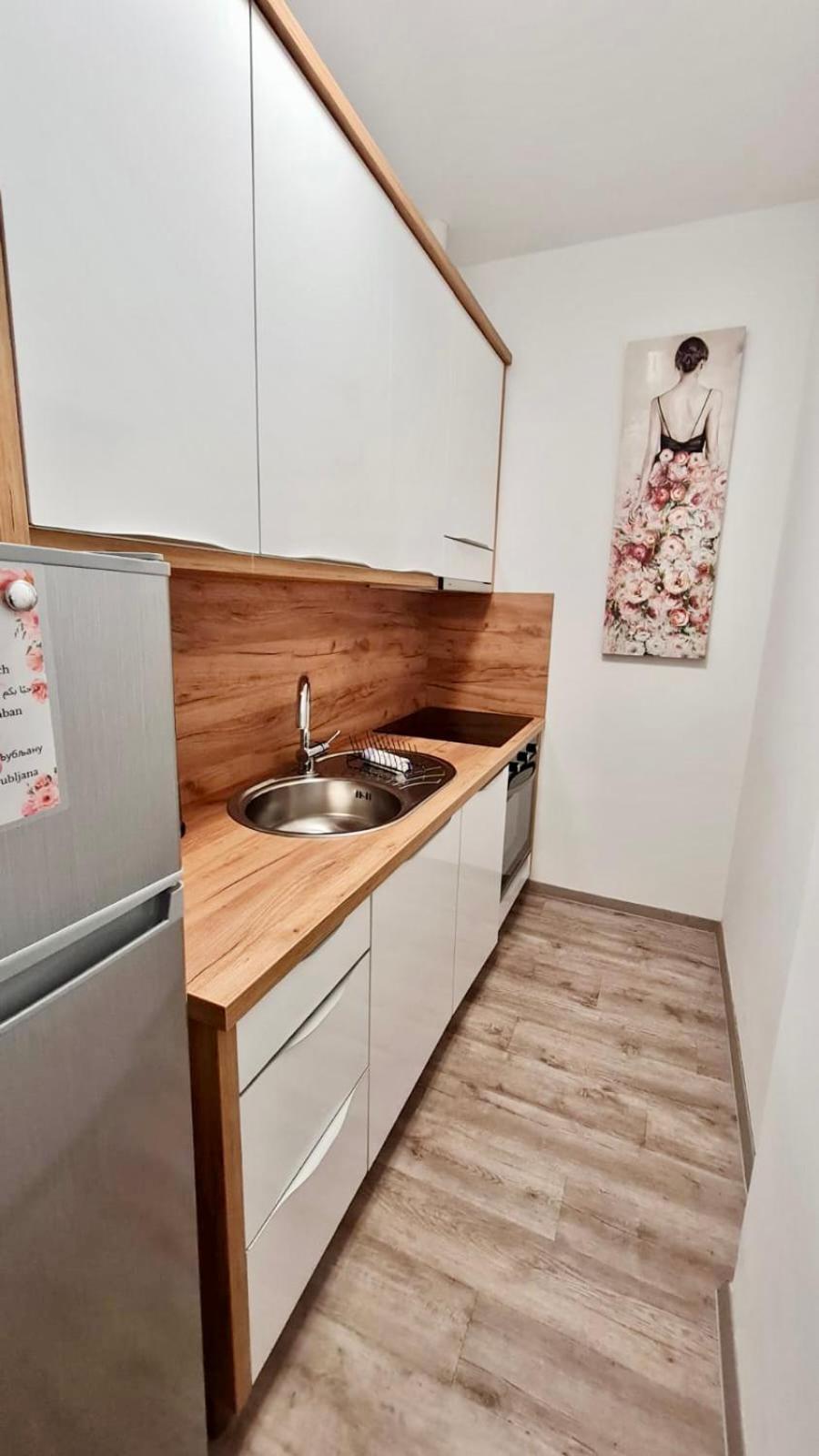 Ljubljana Central Lux Apartment With Free Parking Liubliana Exterior foto